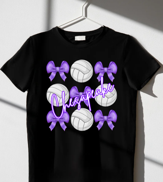 Chesapeake Volleyballs & Bows