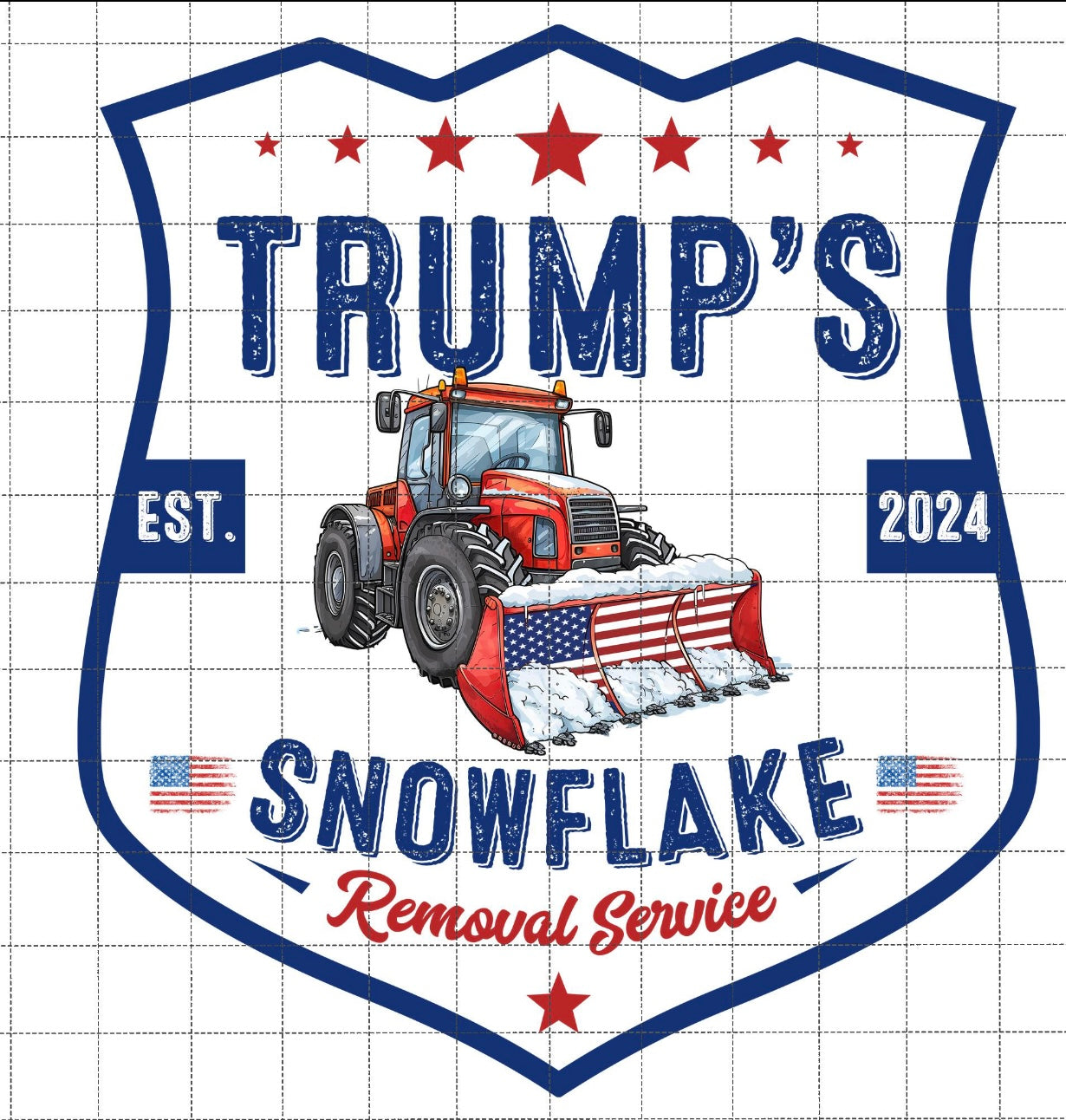 Snowflake Removal Service