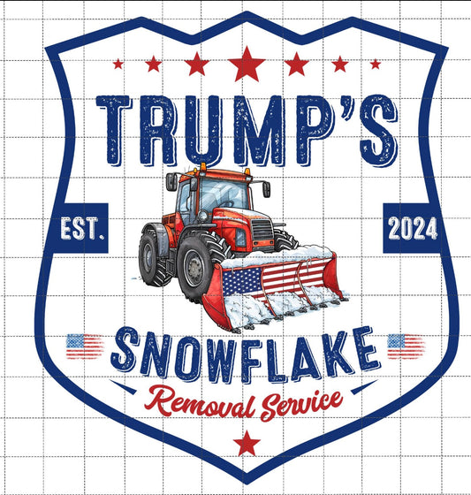 Snowflake Removal Service