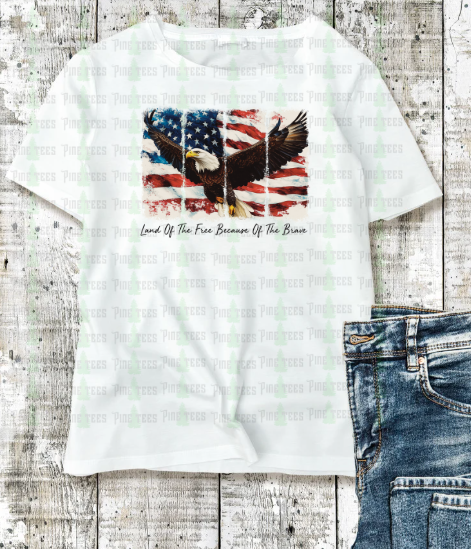 Eagle Land of the Free Because of the Brave