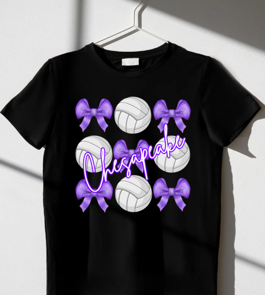 Chesapeake Volleyballs & Bows