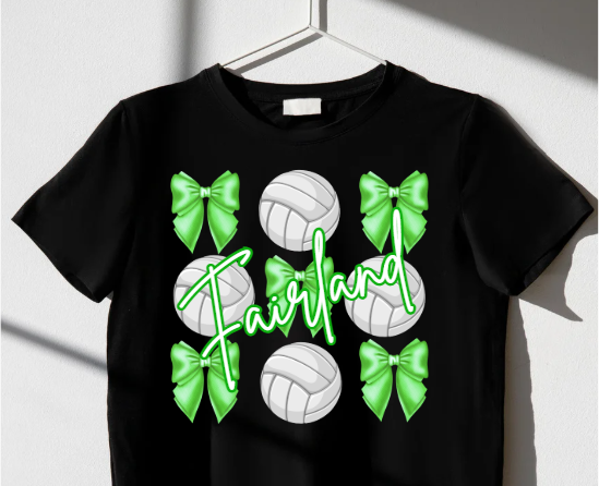Fairland Volleyballs & Bows