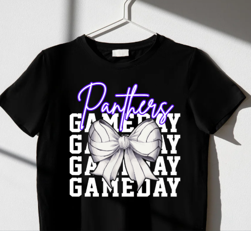 Panthers Gameday Volleyball